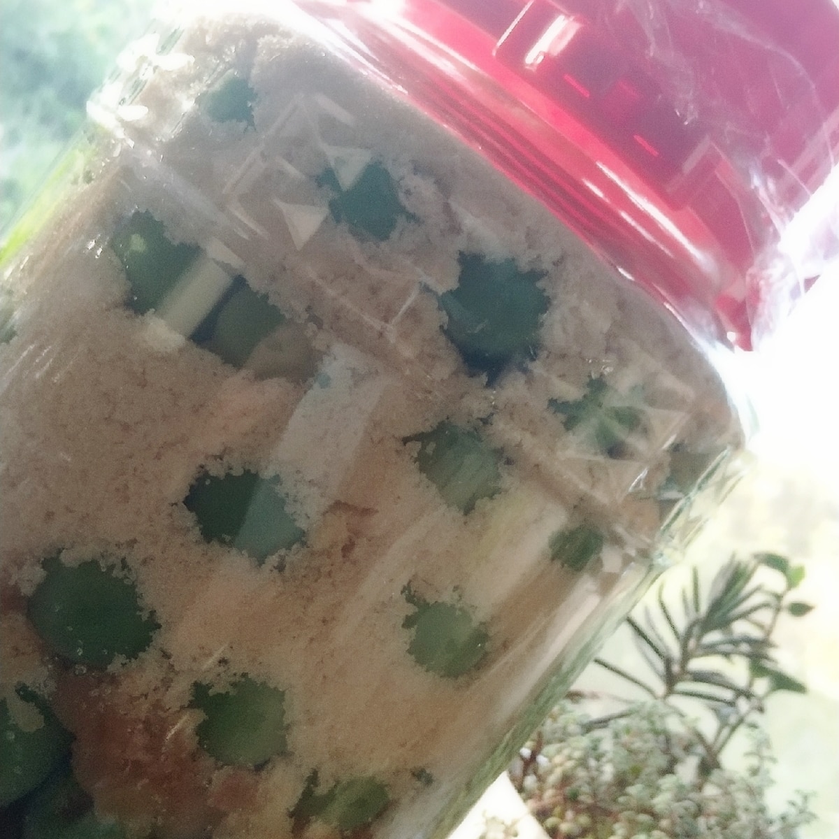 3ステップレシピ 詰めるだけ三温糖で梅シロップ レシピ 作り方 By Nuno 楽天レシピ 3ステップレシピ 詰めるだけ三温糖で梅シロップ レシピ 作り方 By Nuno 楽天レシピ